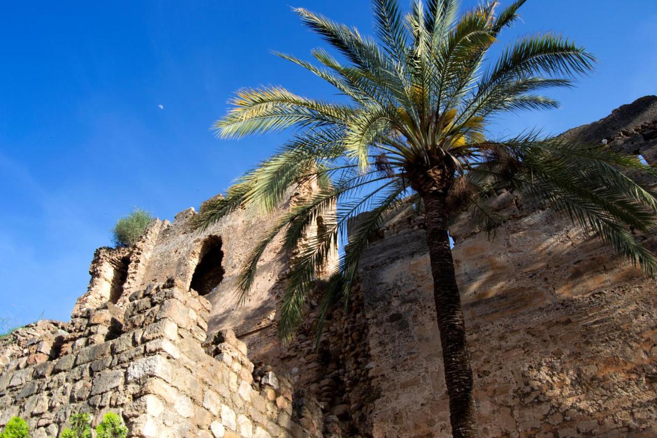 Edificio Ramiro Leilighet Marbella Eksteriør bilde